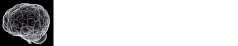 the brain